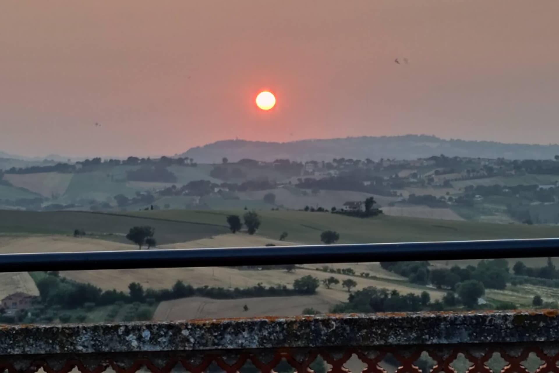 descrizione immagine