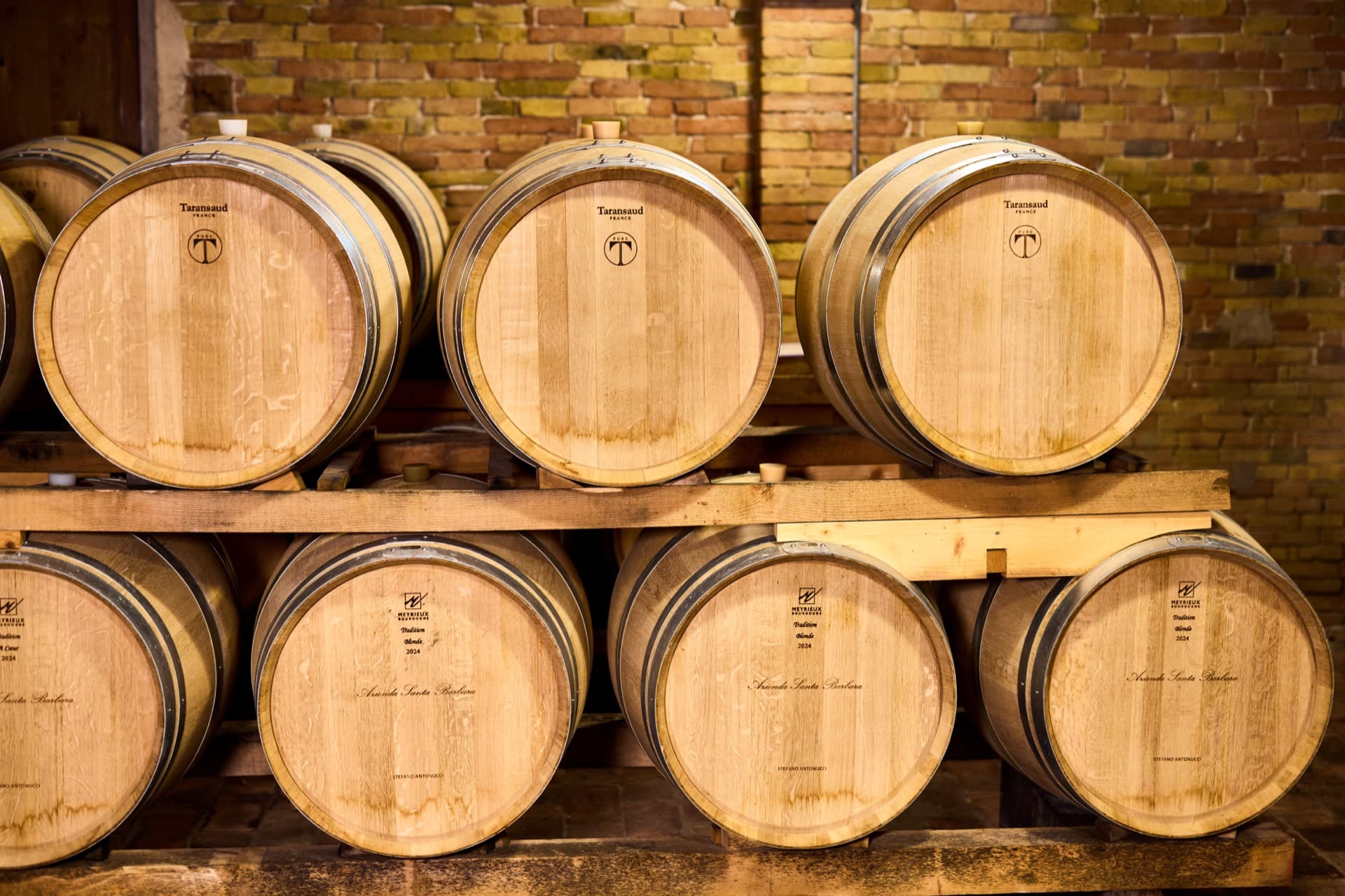 descrizione immagine