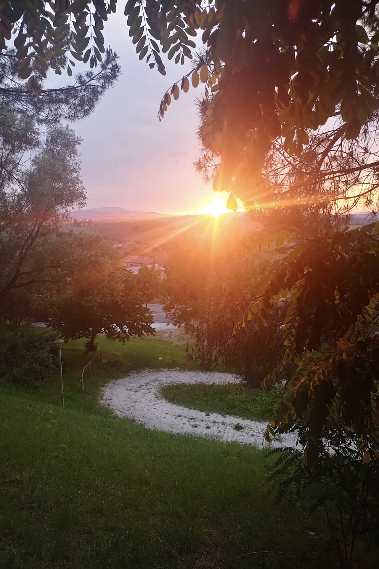 descrizione immagine