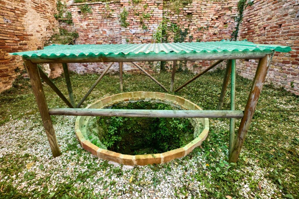 descrizione immagine