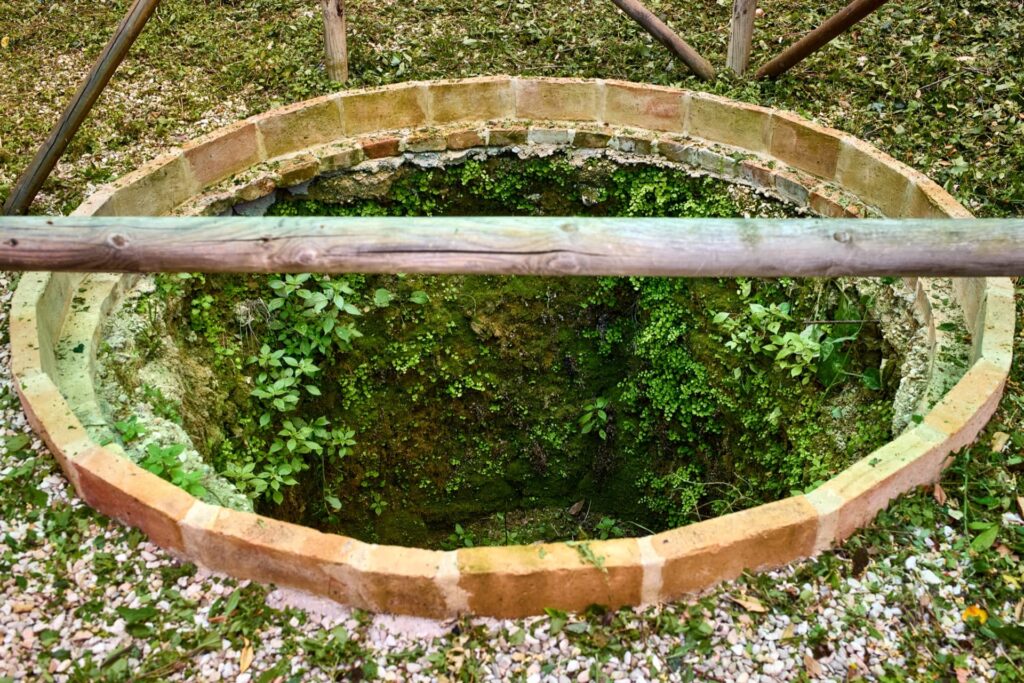 descrizione immagine